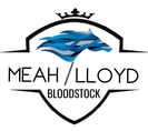 Meah/Lloyd Bloodstock